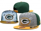 NFL Green Bay Packers snapback-11