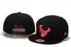 NFL Houston Texans hats-37