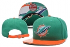 NFL Miami Dolphins snapback-20