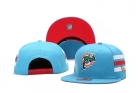 NFL Miami Dolphins snapback-24