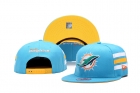 NFL Miami Dolphins snapback-25