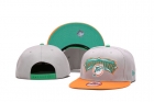 NFL Miami Dolphins snapback-26