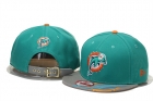 NFL Miami Dolphins snapback-30