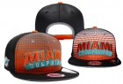 NFL Miami Dolphins snapback-42