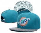 NFL Miami Dolphins snapback-53