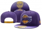 NBA Larkers Snapback-103