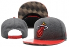 NBA Miami heats-209