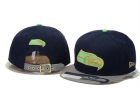 NFL Seattle Seahawks Snapback-38