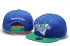 NFL Seattle Seahawks Snapback-50