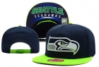 NFL Seattle Seahawks Snapback-65