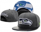 NFL Seattle Seahawks Snapback-83