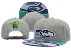 NFL Seattle Seahawks Snapback-96