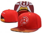 NFL Washington Redskins hats-52