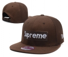 Supreme snapback-17