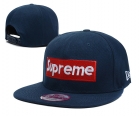 Supreme snapback-24