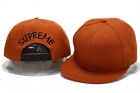 Supreme snapback-29