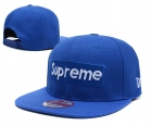 Supreme snapback-45