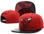 NBA BULL snapback-295