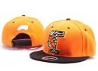 Trukfit snapback-27