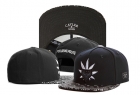 Cayler&Sons snapback-72