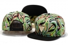 Hater Snapback-31