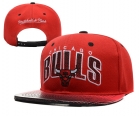 NBA BULL snapback-308