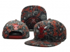NBA BULL snapback-313