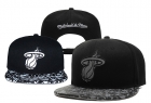 NBA Miami heats-218