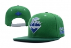 Pink dolphin snapback-09