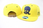 Pink dolphin snapback-29