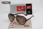 Rayban sunglass AAA-1024