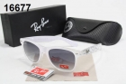 Rayban sunglass AAA-1043