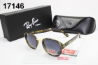 Rayban sunglass AAA-1102