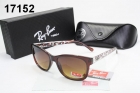 Rayban sunglass AAA-1108