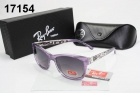 Rayban sunglass AAA-1110