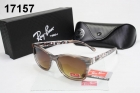 Rayban sunglass AAA-1113