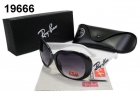 Rayban sunglass AAA-1294