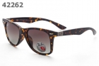 RayBan Polariscope AAA-1036