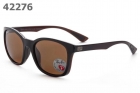 RayBan Polariscope AAA-1050