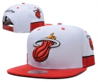 NBA Miami heats-224