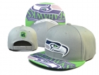 NFL Seattle Seahawks Snapback-109