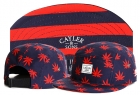 Cayler&Sons snapback-180