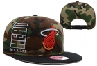 NBA Miami heats-230