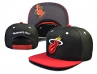 NBA Miami heats-232