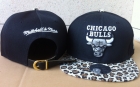 NBA BULL snapback-358