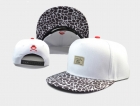 Cayler&Sons snapback-213