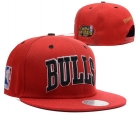 NBA BULL snapback-385