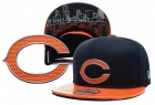 NFL Chicago Bears Snapback-46