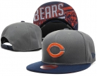 NFL Chicago Bears Snapback-47