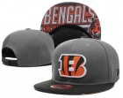 NFL Chicago Bears Snapback-48